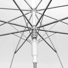 Load image into Gallery viewer, Parquet Premium Clear Umbrella – Auto Open, Slim Handle, 33&quot; Arc
