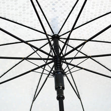 Load image into Gallery viewer, Parquet Polka Dot Premium Clear Umbrella – Auto Open, Slim Handle, 33&quot; Arc
