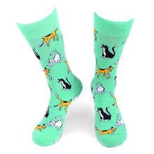 Load image into Gallery viewer, Men&#39;s Novelty Socks &#39;Crazy for Cats&#39; Assorted Pack- 5 pairs
