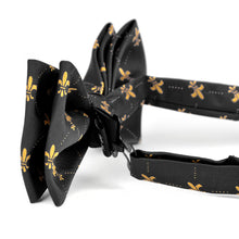 Load image into Gallery viewer, Men&#39;s Fleur-de-lis Banded Bow Tie
