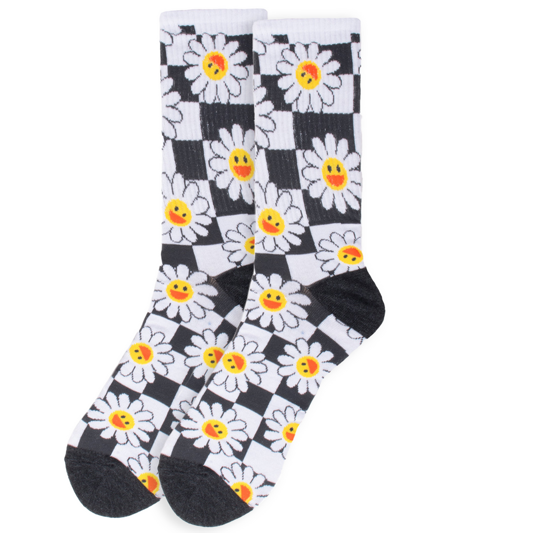 Men's Checker Daisy Ribbed Socks