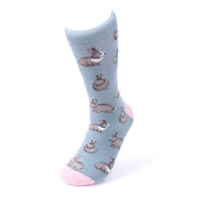 Load image into Gallery viewer, Men&#39;s Novelty Socks &#39;Animal Pack&#39; Assorted Pack- 5 pairs
