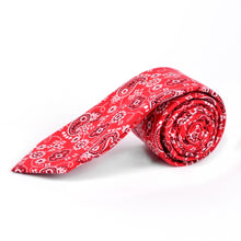 Load image into Gallery viewer, Tie - Paisley Cotton Slim Tie 2.5&quot;
