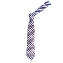Load image into Gallery viewer, Plaid Microfiber Poly Woven Tie - MPW6919
