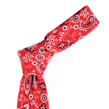 Load image into Gallery viewer, 2.25&quot; Paisley Cotton Slim Tie - NVC-PAISLEY
