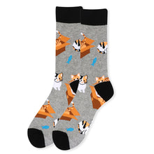 Load image into Gallery viewer, Parquet Men’s Cat in a Box Novelty Crew Socks – Navy or Gray
