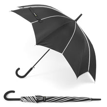 Load image into Gallery viewer, Umbrella - Black &amp; Silver Umbrella with Pointed Canopy
